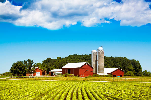Indiana farm with barns and silos