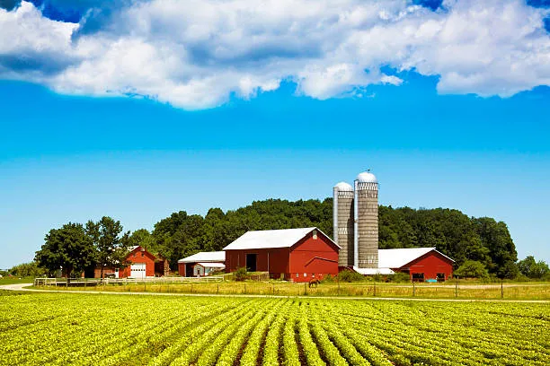Indiana farm with barns and silos